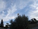Filename=Dsc04455a.jpg
Filesize=54KiB
Dimensions=648x486
Date added=Oct 28, 2019 Dsc04455a.jpg