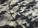 Dsc04483a.jpg