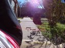 Filename=Sunp3022a.jpg
Filesize=333KiB
Dimensions=907x680
Date added=Mar 15, 2018 Sunp3022a.jpg