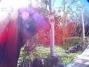 Filename=Sunp3077a.jpg
Filesize=340KiB
Dimensions=907x680
Date added=Mar 15, 2018 Sunp3077a.jpg