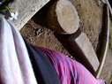Filename=Sunp3454a.jpg
Filesize=352KiB
Dimensions=907x680
Date added=Mar 19, 2018 Sunp3454a.jpg