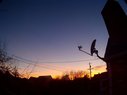 Filename=Sunp4091a.jpg
Filesize=181KiB
Dimensions=907x680
Date added=Mar 15, 2018 Sunp4091a.jpg