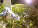 Filename=Sunp4121a25.jpg
Filesize=99KiB
Dimensions=648x486
Date added=May 16, 2019 Sunp4121a25.jpg