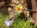 Filename=Sunp4411a25.jpg
Filesize=145KiB
Dimensions=648x486
Date added=May 16, 2019 Sunp4411a25.jpg