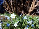 Filename=Sunp7372a.jpg
Filesize=347KiB
Dimensions=778x583
Date added=Mar 19, 2018 Sunp7372a.jpg
