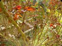 Filename=Sunp7706a.jpg
Filesize=451KiB
Dimensions=907x680
Date added=Mar 15, 2018 Sunp7706a.jpg