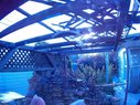 Filename=Sunp8312a.jpg
Filesize=161KiB
Dimensions=778x583
Date added=Mar 20, 2018 Sunp8312a.jpg