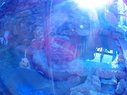 Filename=Sunp8326a.jpg
Filesize=126KiB
Dimensions=778x583
Date added=Mar 20, 2018 Sunp8326a.jpg
