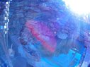 Filename=Sunp8338a.jpg
Filesize=119KiB
Dimensions=778x583
Date added=Mar 20, 2018 Sunp8338a.jpg