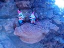 Filename=Sunp8347a.jpg
Filesize=166KiB
Dimensions=778x583
Date added=Mar 20, 2018 Sunp8347a.jpg