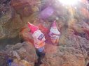 Filename=Sunp8359a.jpg
Filesize=125KiB
Dimensions=778x583
Date added=Mar 20, 2018 Sunp8359a.jpg
