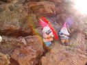Filename=Sunp8361a.jpg
Filesize=138KiB
Dimensions=778x583
Date added=Mar 20, 2018 Sunp8361a.jpg