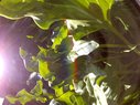 Filename=Sunpx0210a.jpg
Filesize=80KiB
Dimensions=778x583
Date added=Apr 17, 2018 Sunpx0210a.jpg