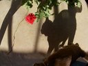 Filename=Sunpx1044a.jpg
Filesize=114KiB
Dimensions=855x642
Date added=Apr 17, 2018 Sunpx1044a.jpg