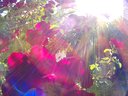 Filename=Sunpx1521a.jpg
Filesize=131KiB
Dimensions=855x642
Date added=Apr 30, 2018 Sunpx1521a.jpg