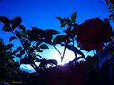 Filename=Sunpx1575a.jpg
Filesize=90KiB
Dimensions=855x642
Date added=Apr 30, 2018 Sunpx1575a.jpg