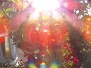 Filename=Sunpx1617a.jpg
Filesize=122KiB
Dimensions=855x642
Date added=Apr 30, 2018 Sunpx1617a.jpg
